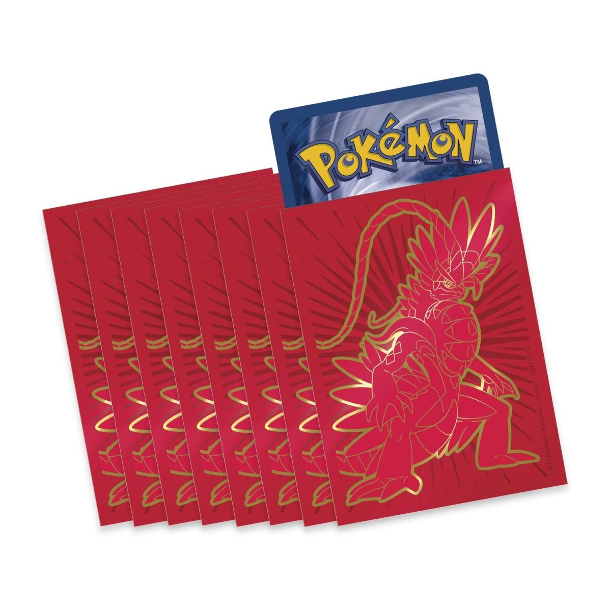 Scarlet & Violet Center Elite Trainer Box (Koraidon)